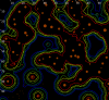 Root Visualization